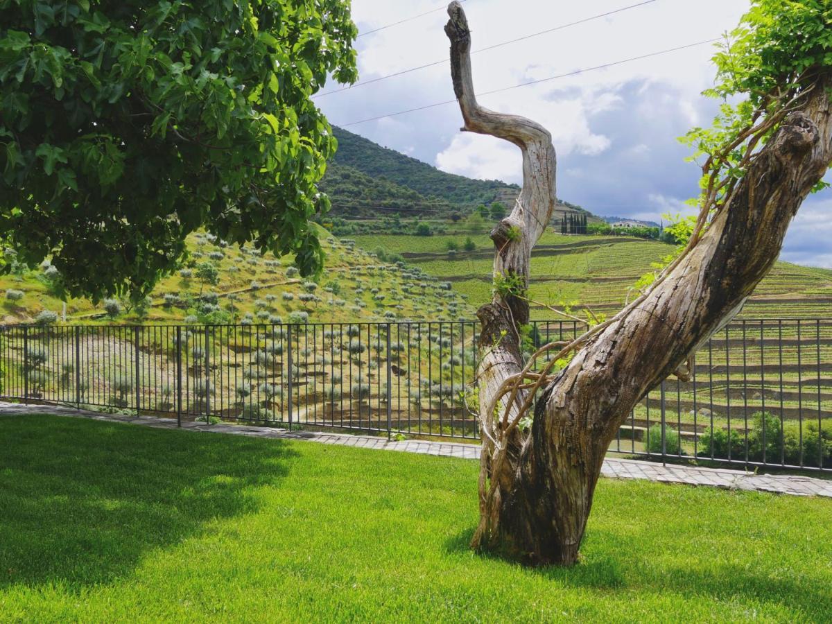 Bed and Breakfast Quinta Do Tedo Folgosa  Exterior foto
