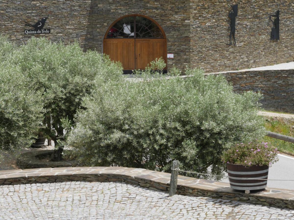 Bed and Breakfast Quinta Do Tedo Folgosa  Exterior foto