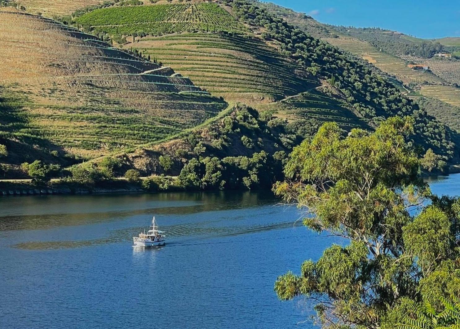 Bed and Breakfast Quinta Do Tedo Folgosa  Exterior foto