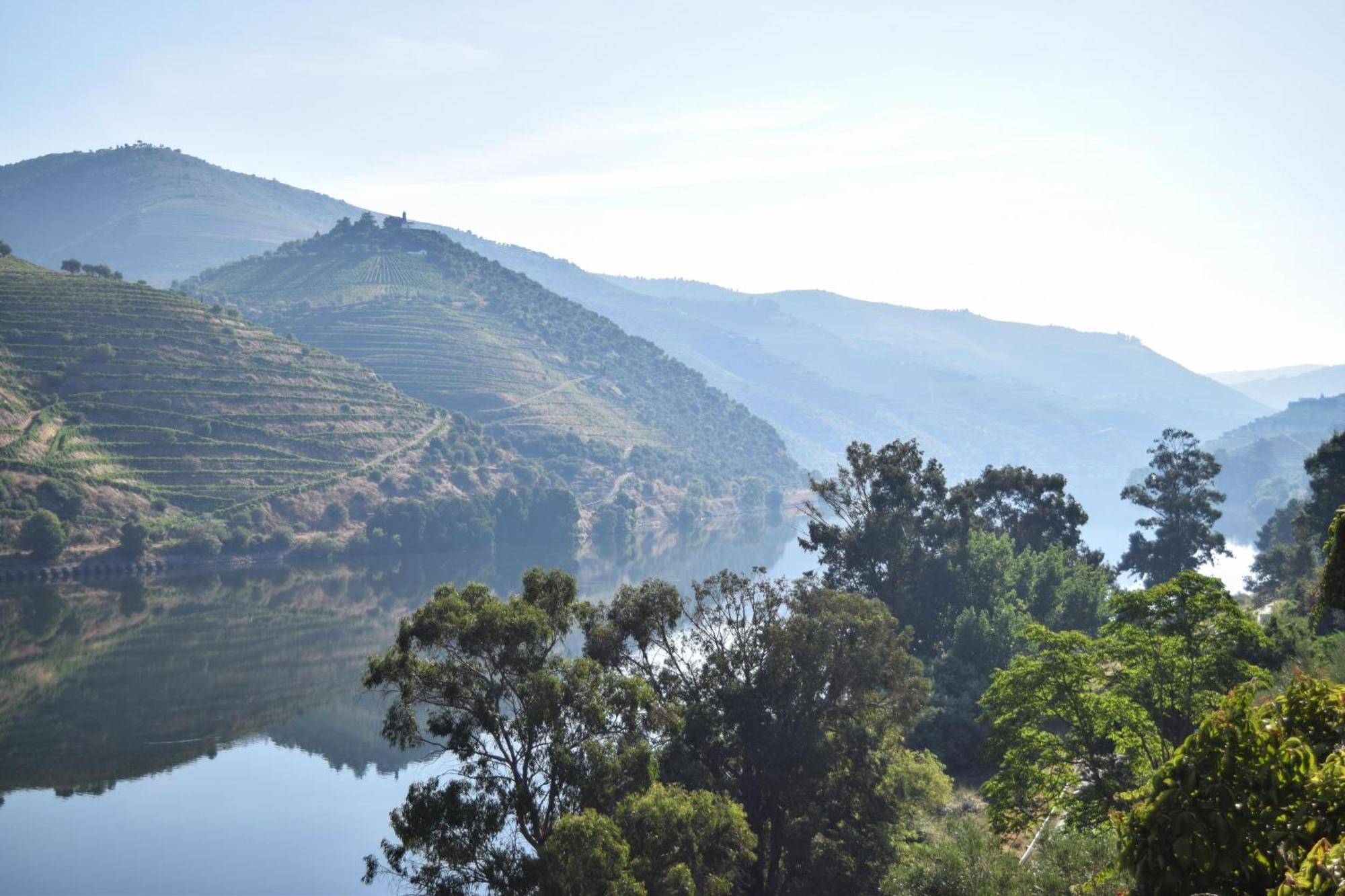 Bed and Breakfast Quinta Do Tedo Folgosa  Exterior foto