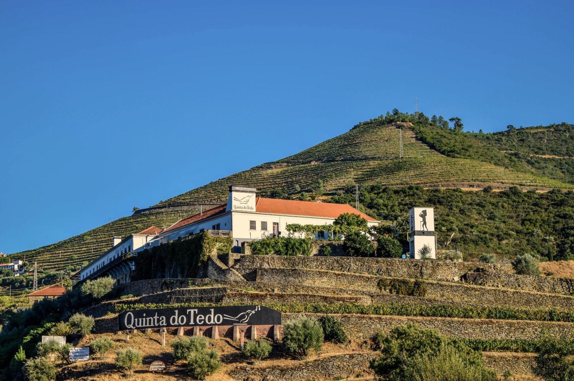 Bed and Breakfast Quinta Do Tedo Folgosa  Exterior foto